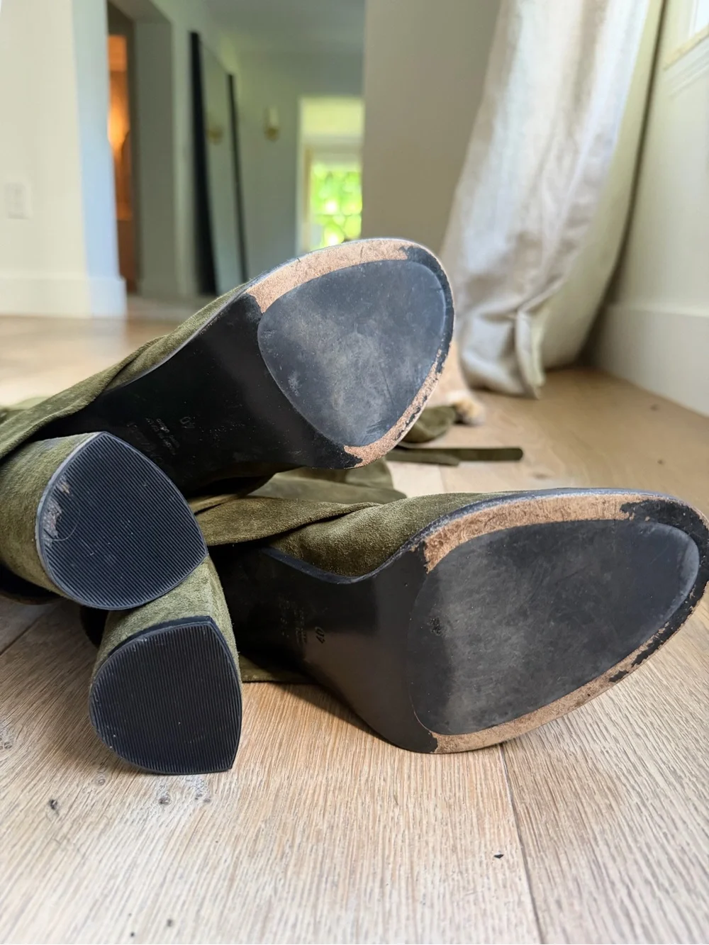 Casadei Olive Over-the-Knee Suede Boots